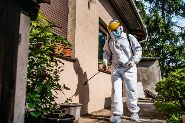 Best Mosquito Control Services  in Wyong, MI