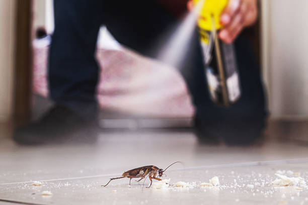 Professional Pest Control in Wyoming, MI